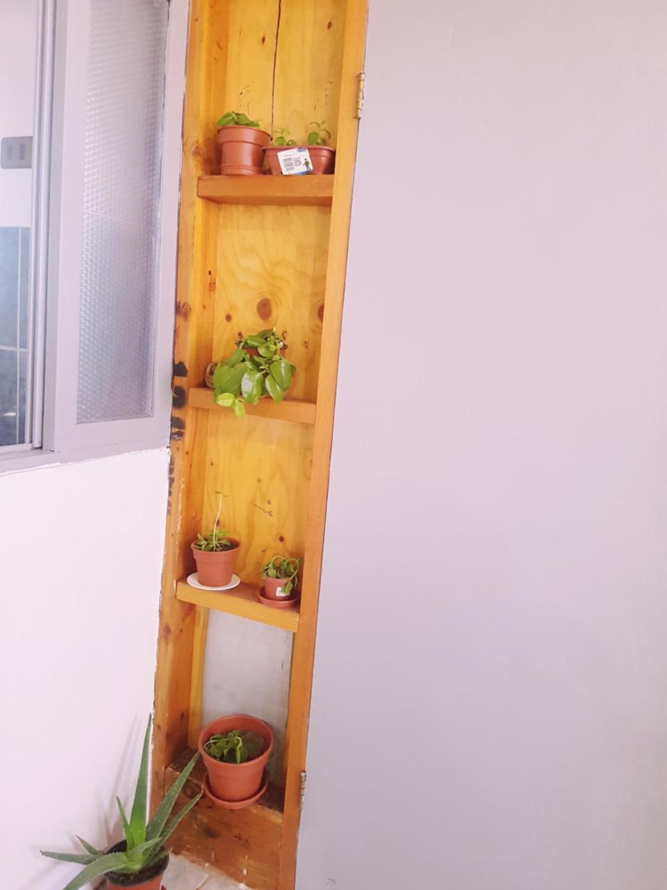 Departamento Luna Andina Сан-Педро-де-Атакама Экстерьер фото